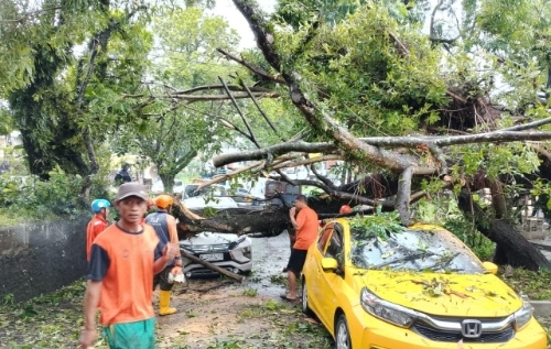 Hujan Deras, Pohon Tumbang dan Tanah Longsor Terjadi di Kota Malang