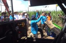 Tinjau Ladang Tebu di Malang, Menko Bidang Pangan Hentikan Impor Gula