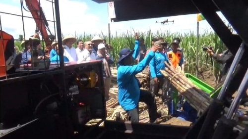 Tinjau Ladang Tebu di Malang, Menko Bidang Pangan Hentikan Impor Gula 2 Tinjau Ladang Tebu di Malang, Menko Bidang Pangan Hentikan Impor Gula