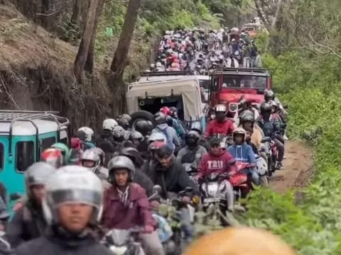 Resizer 17347748181001