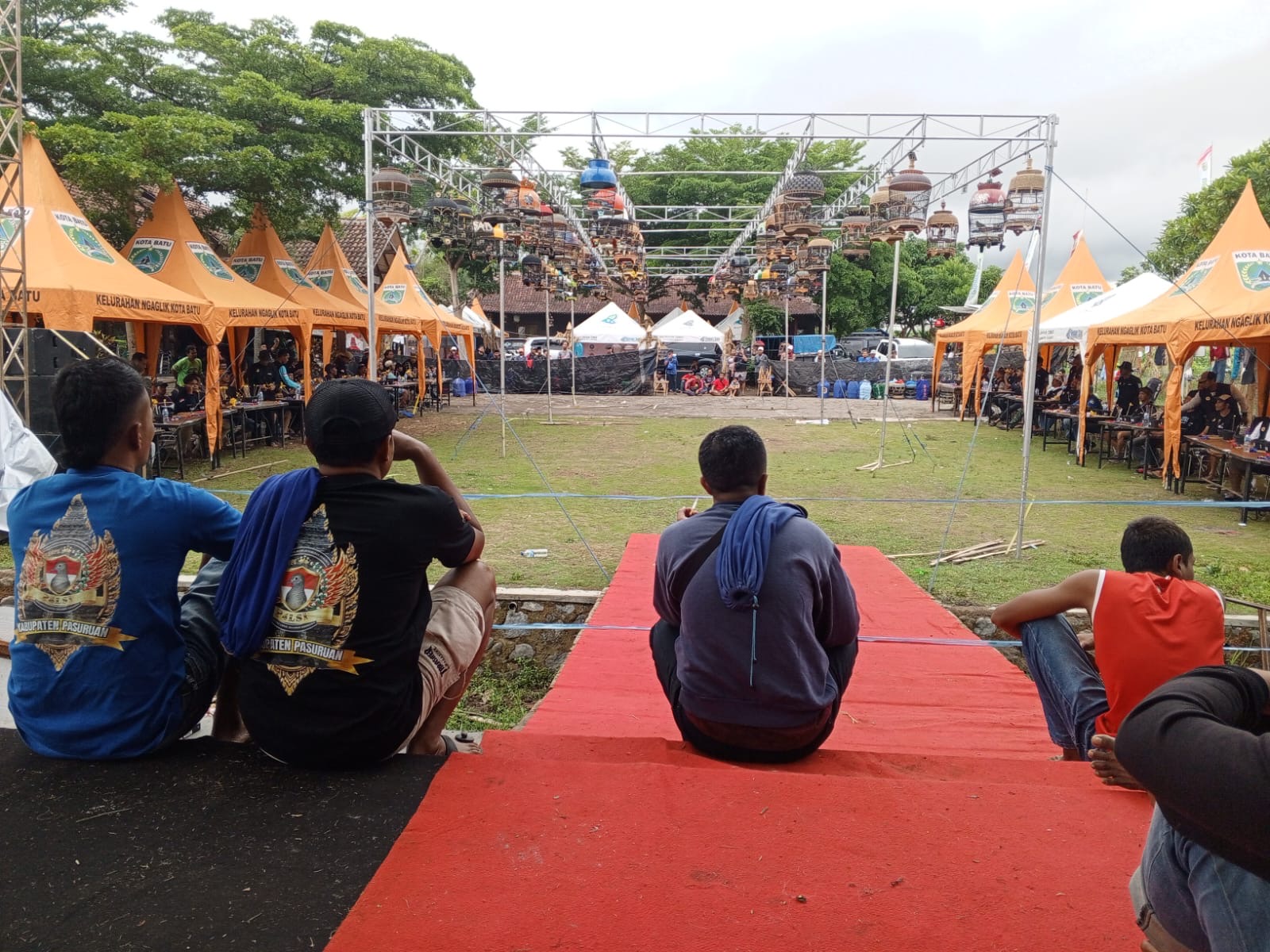 Lomba burung perkutut