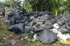Warga Giripurno Geram Adanya Tumpukan Sampah Membusuk