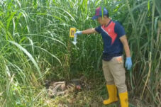 Geger, Warga Srengat Blitar Temukan Kerangka Manusia 1 Geger, Warga Srengat Blitar Temukan Kerangka Manusia