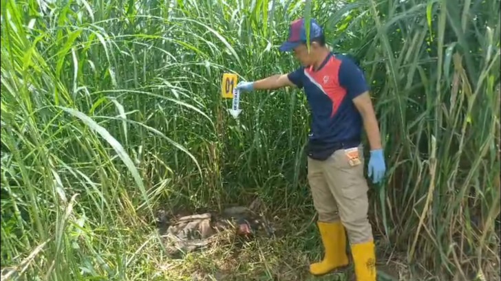 Geger, Warga Srengat Blitar Temukan Kerangka Manusia