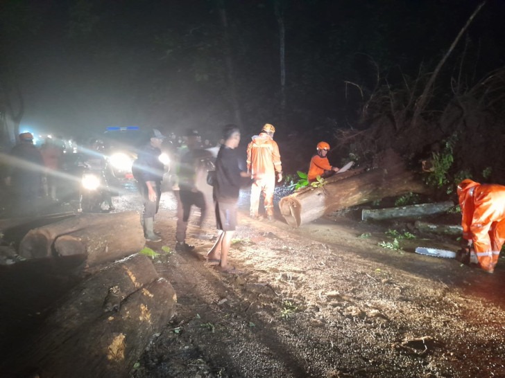 Tanah Longsor dan Pohon Tumbang Menutup Akses jalan Akibat Hujan Lebat