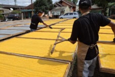 Nasi Jagung Instan dan Tiwul Instan Produksi Kabupaten Malang Tembus Pasar Luar Negeri