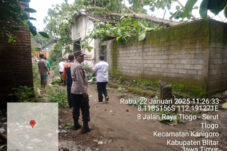 Pohon Jati Tumbang Timpa Dapur Rumah Warga Blitar 14 Pohon Jati Tumbang Timpa Dapur Rumah Warga Blitar