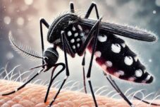 Kasus DBD Meningkat, Dinkes Sidoarjo Fokus Tangkal Penyebaran DBD di Musim Hujan