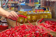 Jaga Stabilitas Harga Cabai, Pemkab Malang Dorong Petani Manfaatkan Green House 12 IMG 20250116 151527