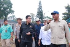 Wamentan Targetkan 2 Juta Sapi Bisa Dikembangkan di Indonesia dalam 5 Tahun