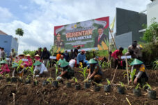 Dukung Swasembada Pangan, Forkopimda Kota Batu Tanam Jagung di 120 Hektar Lahan Tidur