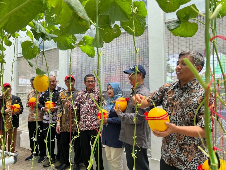 UMM Produksi Melon Berbasis Teknologi Smart Farming