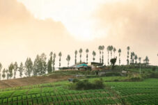 Kunjungan Wisatawan ke Desa Wisata di Kota Batu Meningkat Dua Kali Lipat Selama Libur Nataru