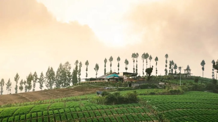 Kunjungan Wisatawan ke Desa Wisata di Kota Batu Meningkat Dua Kali Lipat Selama Libur Nataru