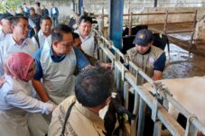 Pemprov Jatim Siapkan 325 Ribu Lebih Vaksin untuk Pencegahan Wabah PMK 9 Pemprov Jatim Siapkan 325 Ribu Lebih Vaksin untuk Pencegahan Wabah PMK