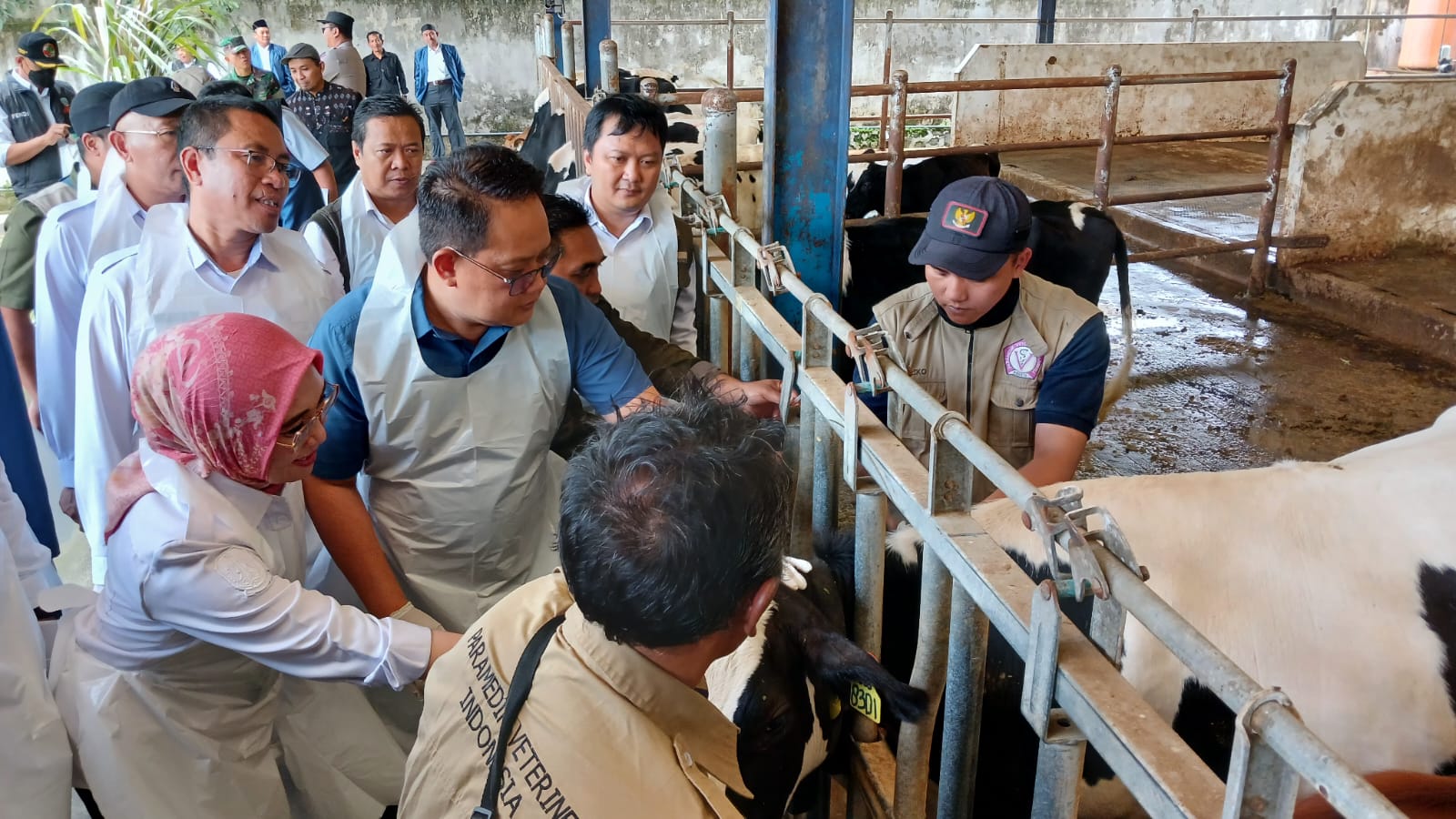 Pemprov Jatim Siapkan 325 Ribu Lebih Vaksin untuk Pencegahan Wabah PMK