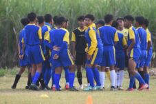 66b3142e d479 4164 ba14 43218bd60205