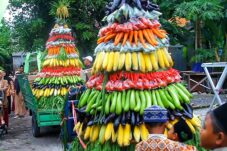 Warga Sidodadi Gelar Ruwat Desa, Berebut Gunungan Hasil Bumi Demi Keberkahan 13 IMG 20250223 WA0001