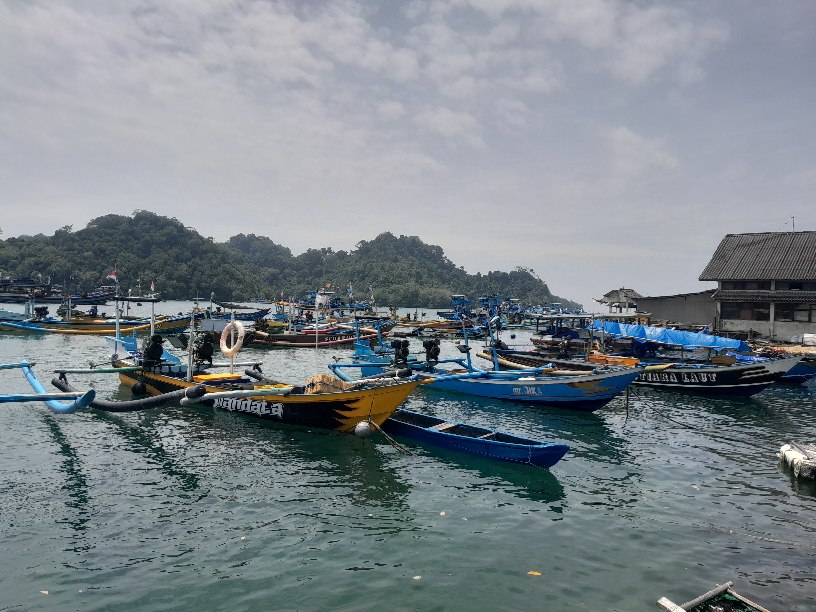 Gelombang Laut Tinggi, Penghasilan Nelayan Sendangbiru Menurun