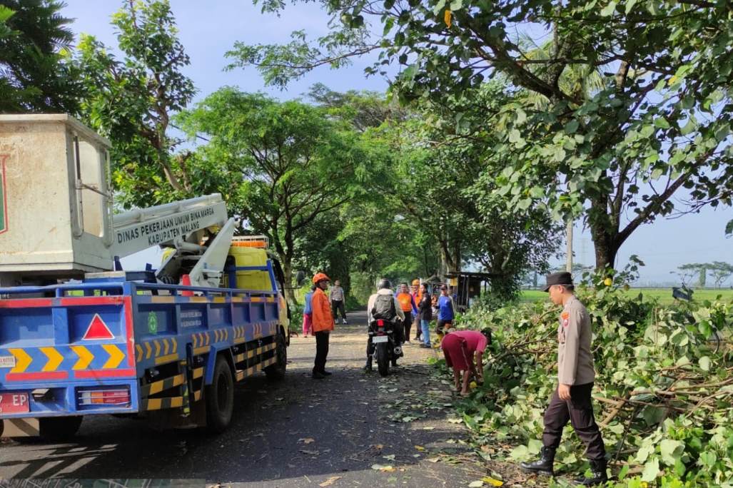 IMG 20250219 161957 1