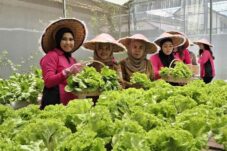 Polres Malang Launching Penguatan Program Pekarangan Pangan Lestari 11 IMG 20250224 185746