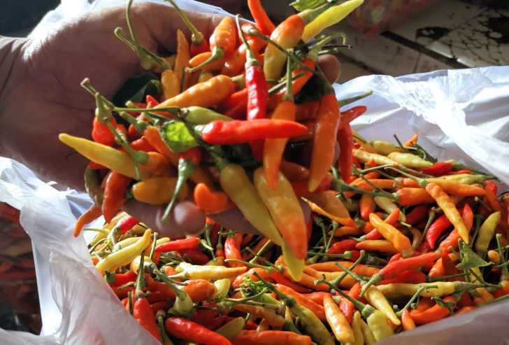 Harga Cabai Rawit Turun Drastis, Pedagang Justru Keluhkan Sepinya Pembeli