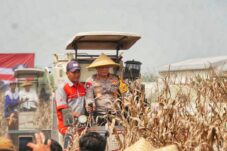 Kapolda Jatim dan Forkopimda Sidoarjo Panen Raya Jagung di Prambon 16 IMG 20250326 WA0062