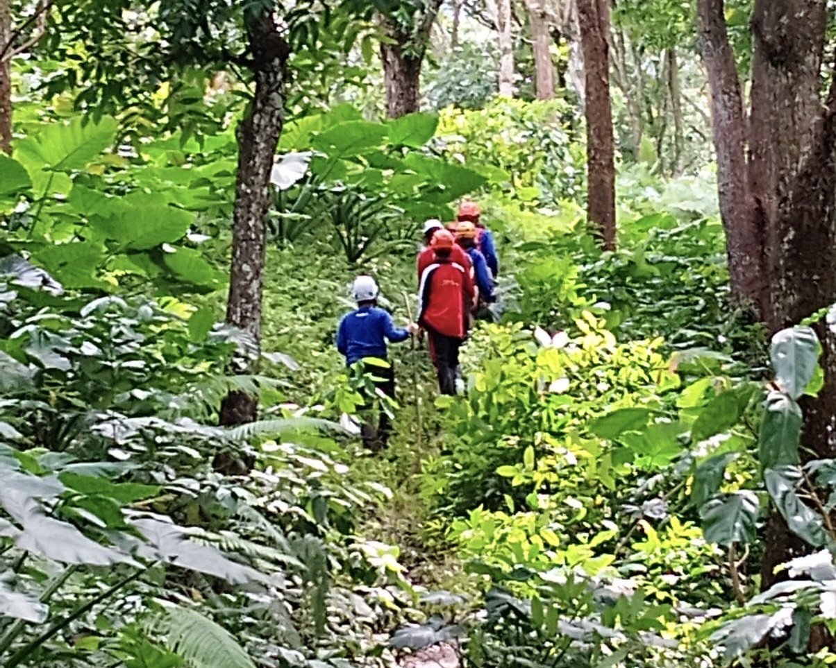 aa99bc24 7ecf 4bf0 b2b0 fd98bbe4e4d5