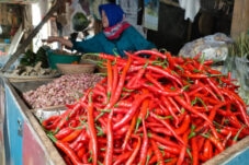 Harga Pangan Turun Usai Ramadan, Warga Surabaya Diimbau Tetap Belanja secara Proporsional 13 Harga Pangan Turun Usai Ramadan, Warga Surabaya Diimbau Tetap Belanja secara Proporsional