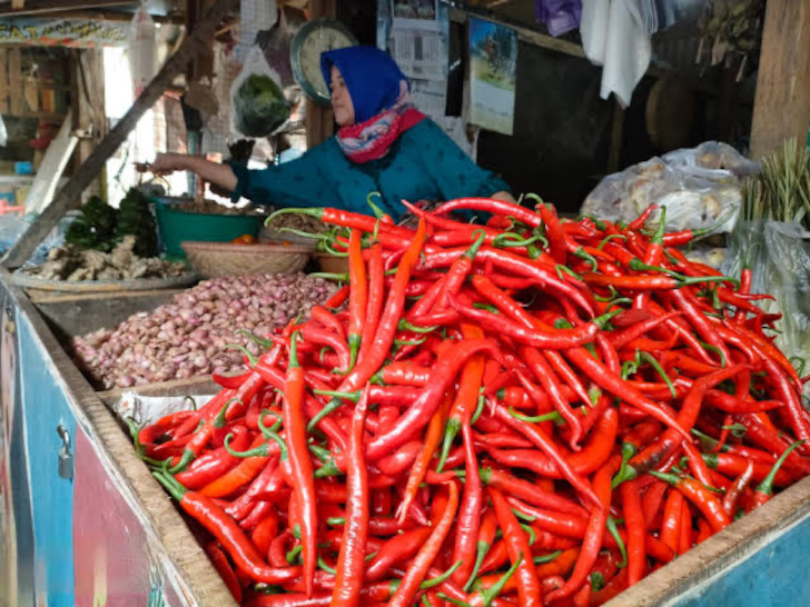 Harga Pangan Turun Usai Ramadan, Warga Surabaya Diimbau Tetap Belanja secara Proporsional
