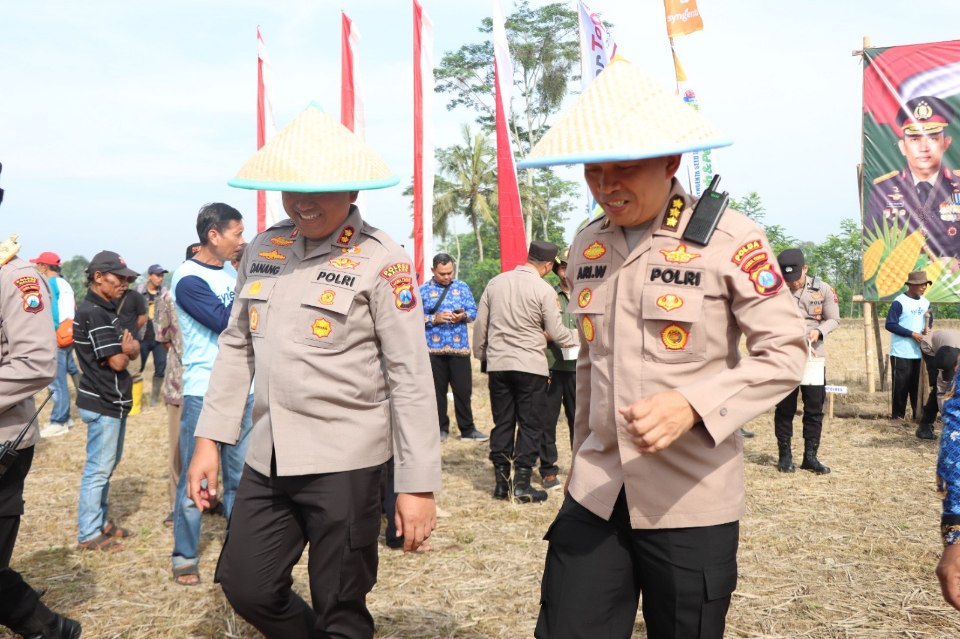 Polres Malang Tanam Jagung Serentak di 150 Hektar Lahan, Dukung Ketahanan Pangan Nasional 19 IMG 20250417 155626