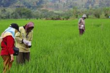 c74a9872 b586 499c 8c53 936bd3fc351e