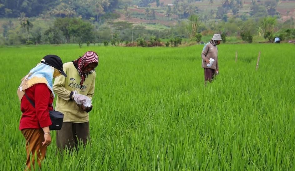 c74a9872 b586 499c 8c53 936bd3fc351e