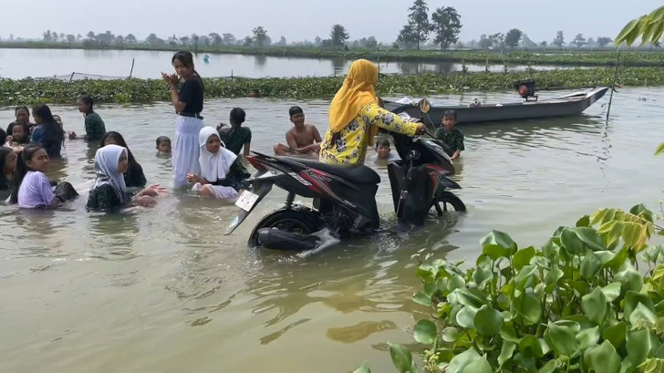 Banjir Bengawan Jero di Lamongan Rendam Jalan dan 1000 Hektar Tambak