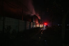 Kandang Berisi Puluhan Ribu Ayam di Jember Terbakar, Kerugian Tembus Rp 4 Miliar