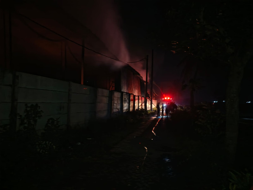 Kandang Berisi Puluhan Ribu Ayam di Jember Terbakar, Kerugian Tembus Rp 4 Miliar