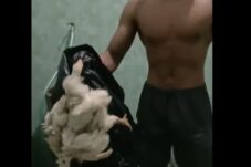 Viral, Atlet Binaraga Kabupaten Malang Terpaksa Konsumsi Ayam Tiren Akibat Dana Nutrisi Tak Cair 8 IMG 1275