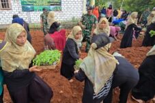 Ibu-ibu dan TNI menanam cabe, terong,tomat, sawi di tanah kosong desa Kebalan Kulon, Kecamatan Sekaran, Lamongan. (Foto: Sapari/ tagarjatim.id)