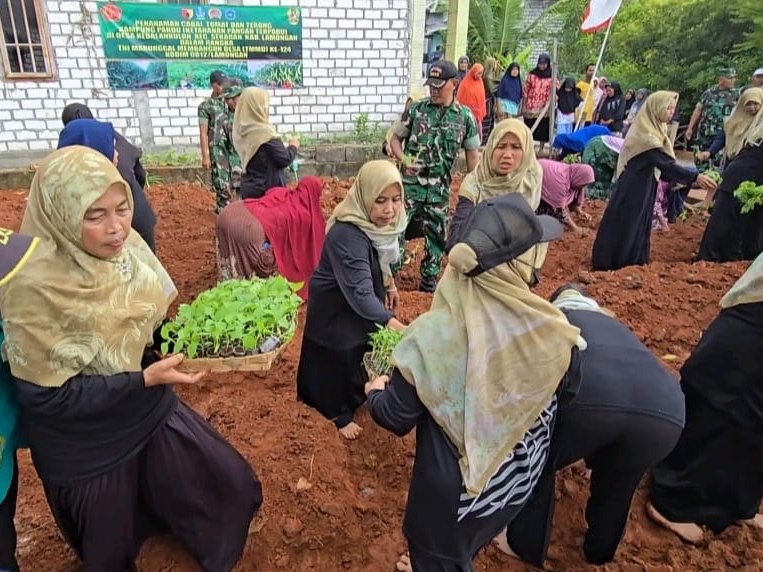 Puluhan Ibu-ibu Desa Kompak Tanam Sayuran untuk Jaga Ketahanan Pangan 14 Ibu-ibu dan TNI menanam cabe, terong,tomat, sawi di tanah kosong desa Kebalan Kulon, Kecamatan Sekaran, Lamongan. (Foto: Sapari/ tagarjatim.id)