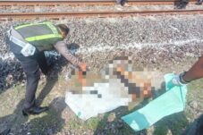 Petugas tandai lokasi korban tewas tertabrak KA Sri Tanjung di Sidoarjo usai menerobos palang, Rabu (28/5/2025). (Foto : Eleanor)