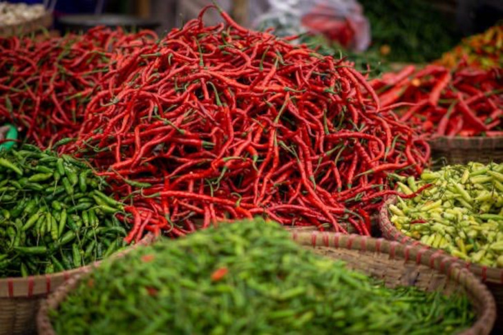 Harga Cabai Merah Keriting di Kabupaten Malang Kembali Turun