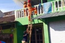 Petugas Damkar Jember saat berjibaku memadamkan api. (Istimewa)