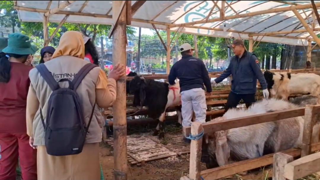 Pemeriksaan hewan kurban oleh Tim Kesehatan Hewan dari Dinas Pertanian dan Ketahanan Pangan Kota Batu.