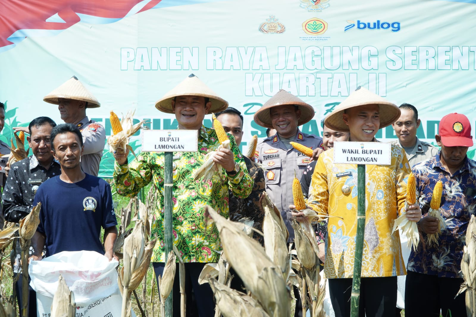 Bupati dan Wakil Bupati menghadiri panen raya di wilayah Kecamatan Tikung, Lamongan. (Istimewa)