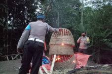 Polres Malang Bongkar Sarana Judi Sabung Ayam Usai Laporan Masuk ke Call Center 11