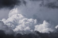 IMG 20250619 WA0002 1