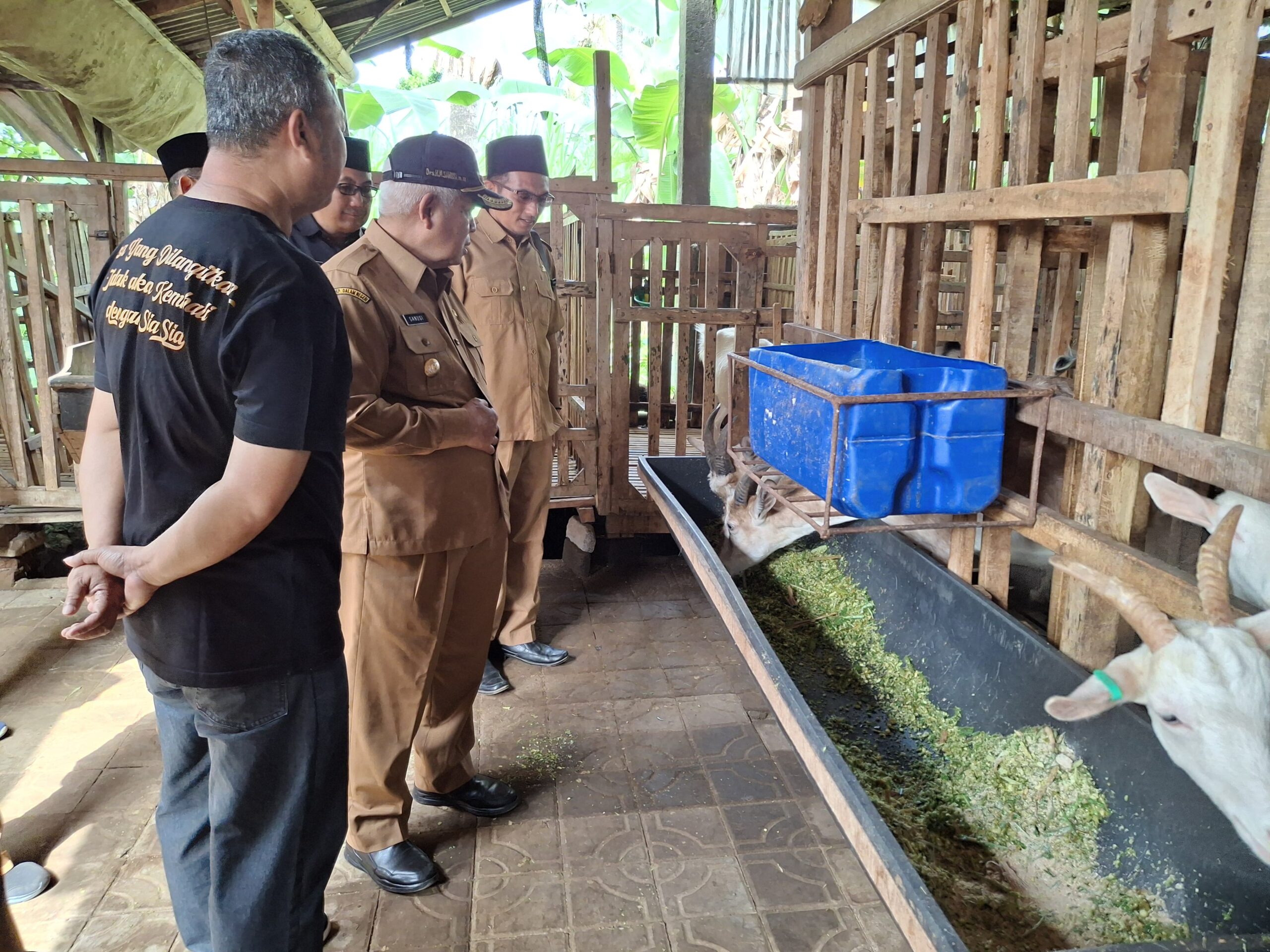 IMG 20250630 WA0012 scaled