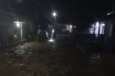 d2c62118 f628 43c5 b980 675a7659aa67