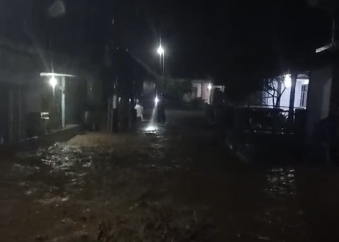 d2c62118 f628 43c5 b980 675a7659aa67