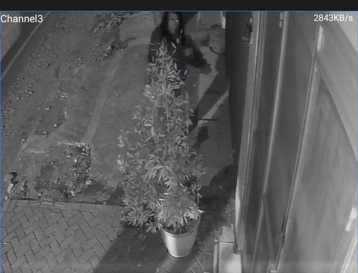 CCTV Ungkap Aksi Curi Lampu di Jalan Agus Salim, Warga Resah